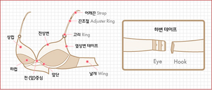 브래지어 각 부분의 명칭