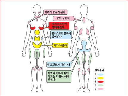 지방 침착의 순서