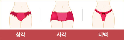 팬티 종류